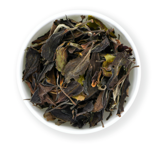 Screenshot 2026-03-16 at 13.27.42